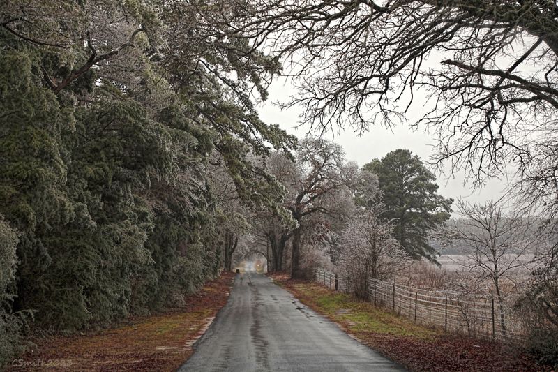 LOOKING DOWN THE STREET WHERE I LVE