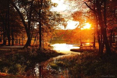 THE LAKE IN AUTUMN