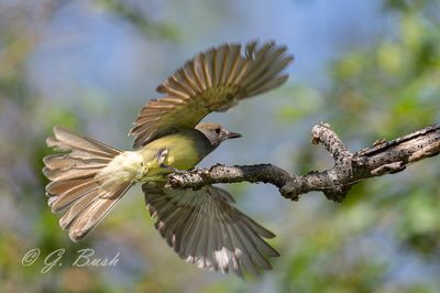 DSC_0543-Enhanced-NR-S.jpg