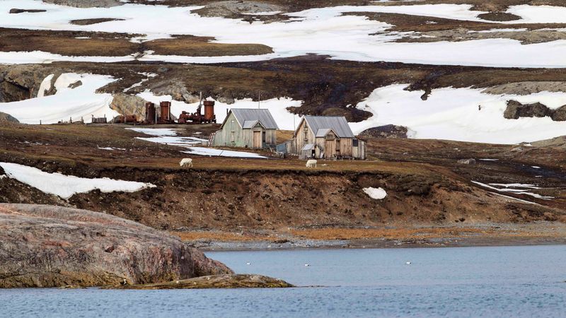 New London Spitsbergen