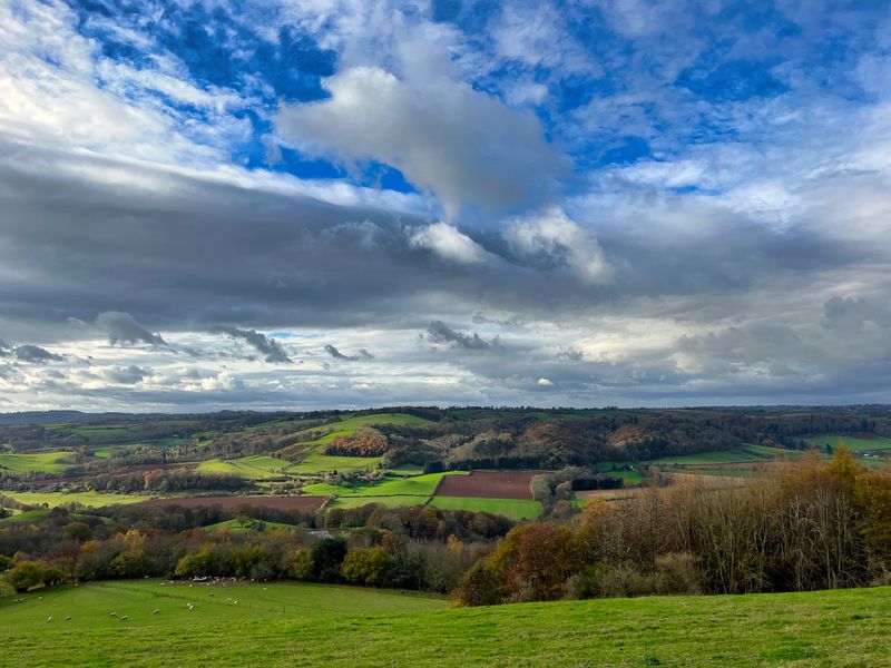 near Martley Worcestershire