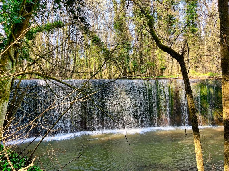 Astbury Falls Waterfall