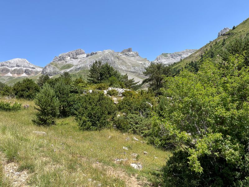 g13/27/7474127/2/175607764.1396ff04.JPEG