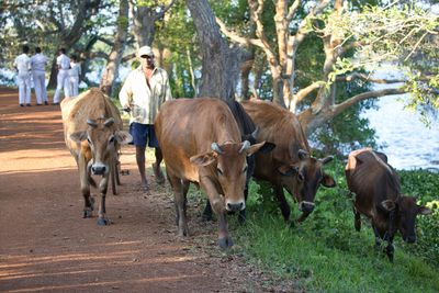Mammals of Sri Lanka