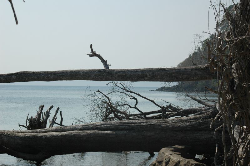 DSC_0178.JPG