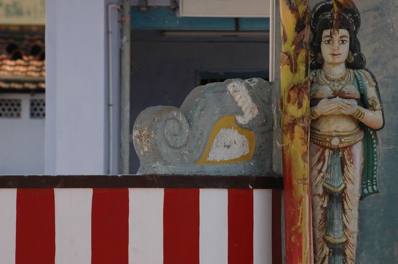 DSC_0570.JPG