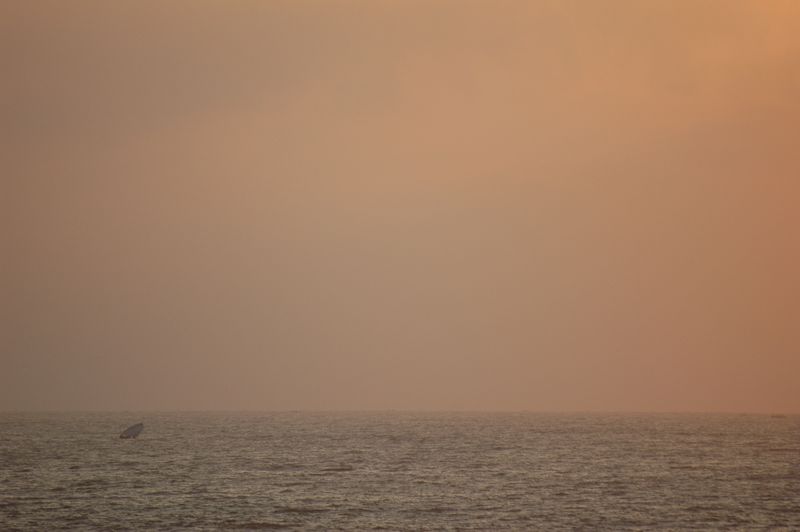 DSC_0630.JPG