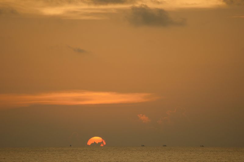 DSC_0156.jpg