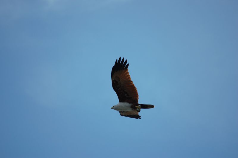DSC_0188.jpg