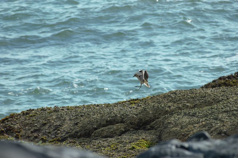DSC_0190.jpg