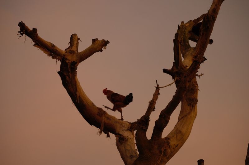 DSC_0195.jpg
