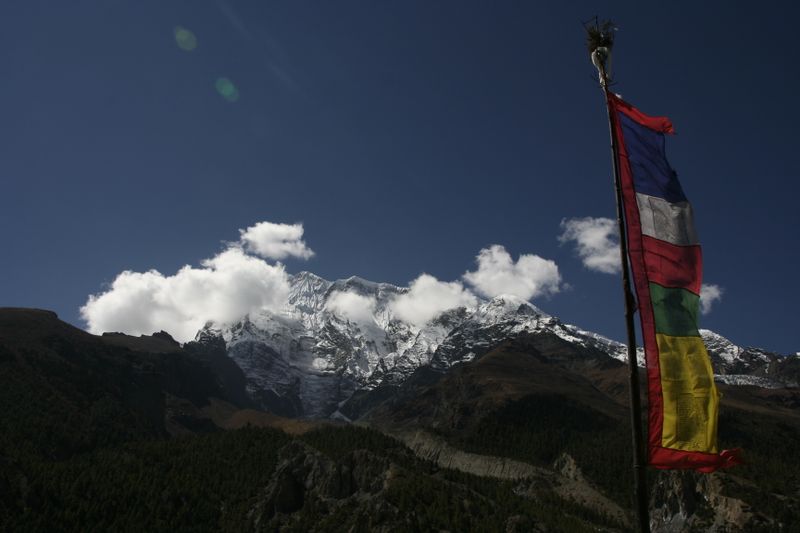 _MG_1446.JPG