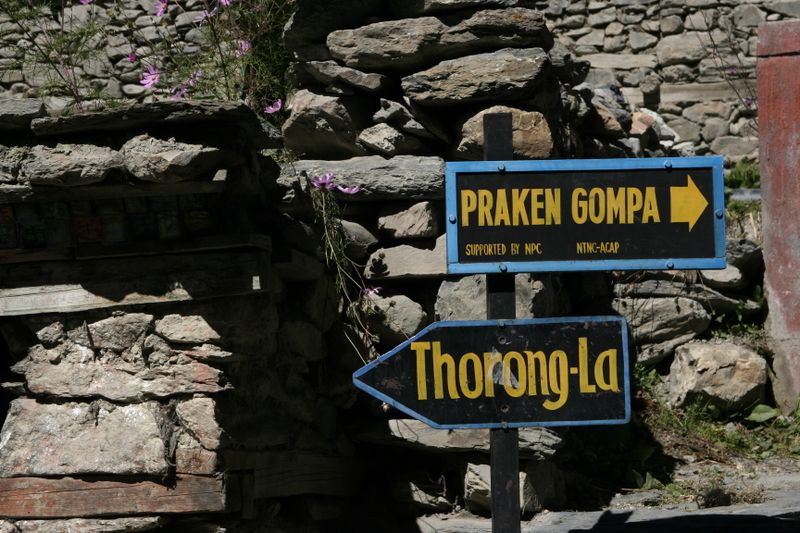 _MG_1449.JPG