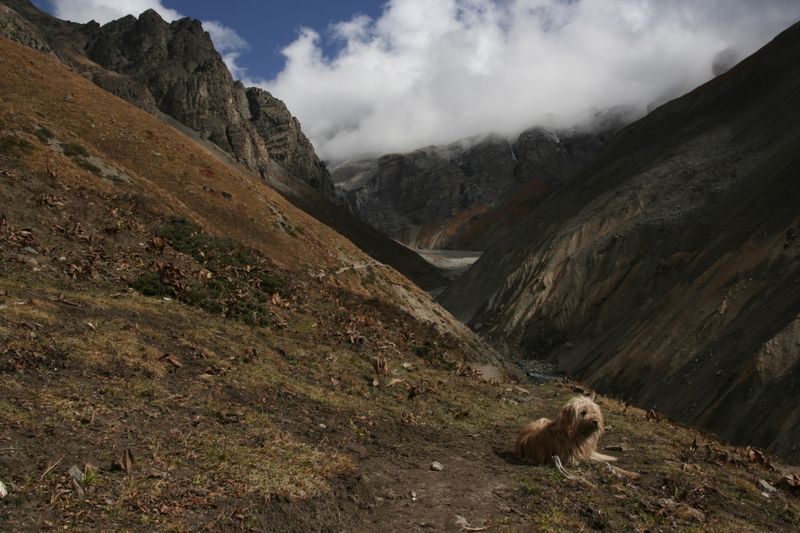 _MG_1529.JPG