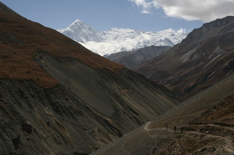 _MG_1535.JPG