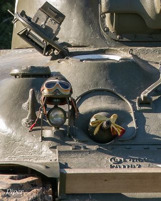 DSC_2095.jpg
