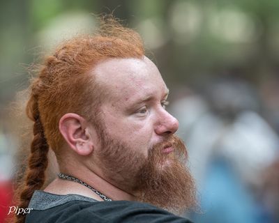 DSC_4119.jpg