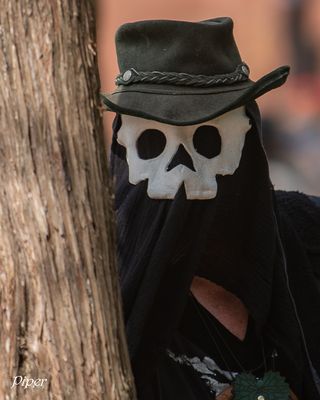DSC_4249.jpg