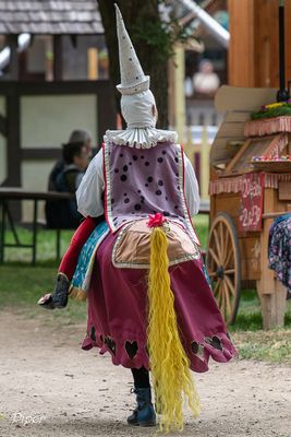 DSC_6175.jpg