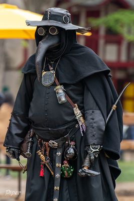 DSC_6384.jpg