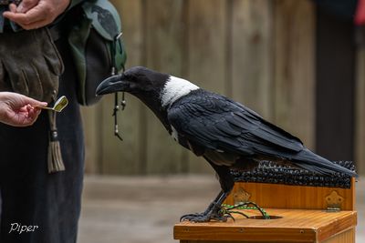 DSC_6972.jpg