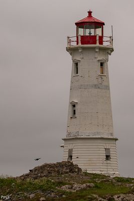 2023.06.26-9714.jpg