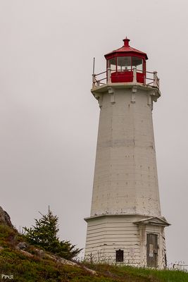 2023.06.26-9743.jpg
