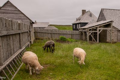 Nova Scotia