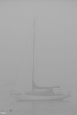 2023.06.30-0078.jpg