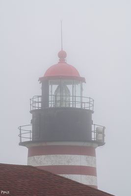 2023.07.01-0297.jpg