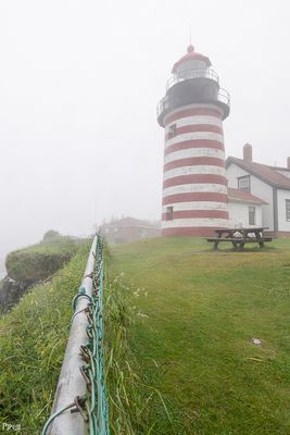 20230701-DSC_0243.jpg