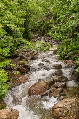 20230703-DSC_0658.jpg