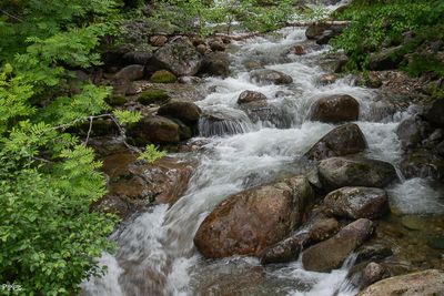 20230703-DSC_0661.jpg