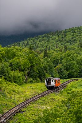 20230703-DSC_0730.jpg