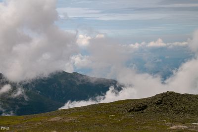 20230703-DSC_0808.jpg