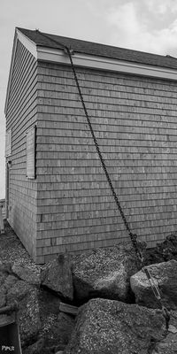 20230703-DSC_0818.jpg