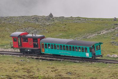 20230703-DSC_0854.jpg