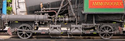 20230703-DSC_0882.jpg
