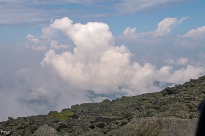 20230704-DSC_1079.jpg