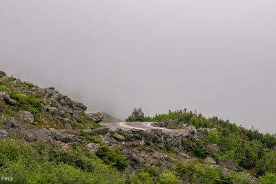 20230704-DSC_1081.jpg
