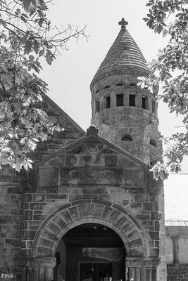 20230705-DSC_1146.jpg