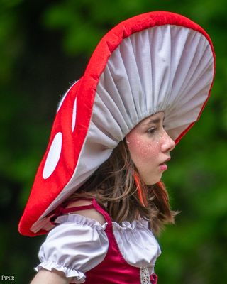 20240427-DSC_2169.jpg