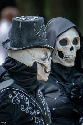 20240427-DSC_2204.jpg