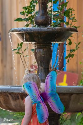 20240519-DSC_3452.jpg