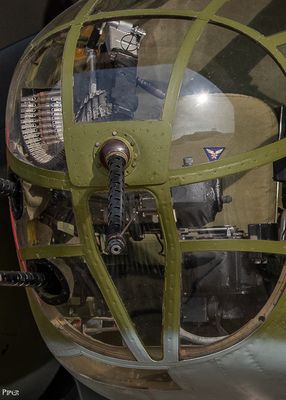 20240707-DSC_4705.jpg