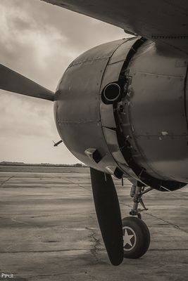 20240707-DSC_4846.jpg