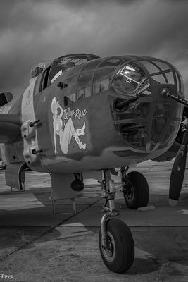 20240707-DSC_4849.jpg