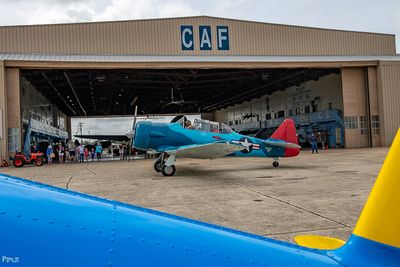 20240707-DSC_4943.jpg