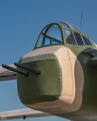 20240706-DSC_3755.jpg