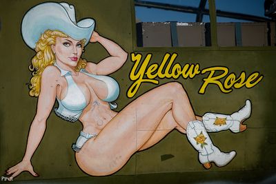 20240706-DSC_3765.jpg
